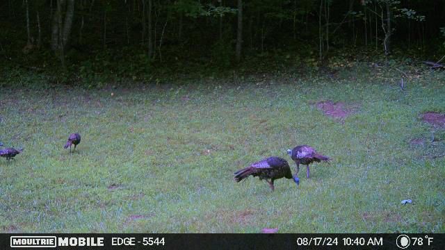 360 Sunset View Lane, Tyner, KY 40486