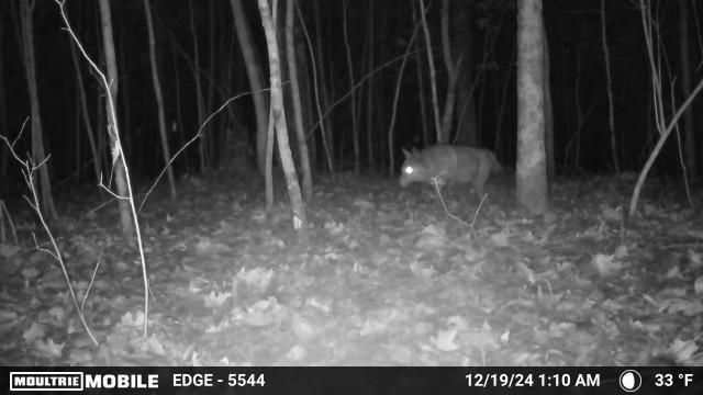 360 Sunset View Lane, Tyner, KY 40486