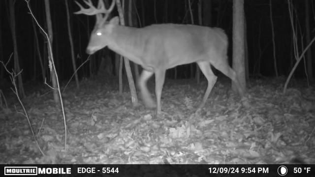 360 Sunset View Lane, Tyner, KY 40486