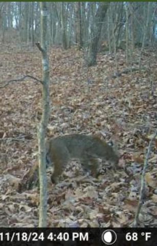 360 Sunset View Lane, Tyner, KY 40486