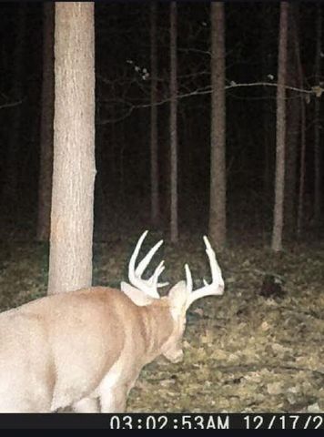 360 Sunset View Lane, Tyner, KY 40486