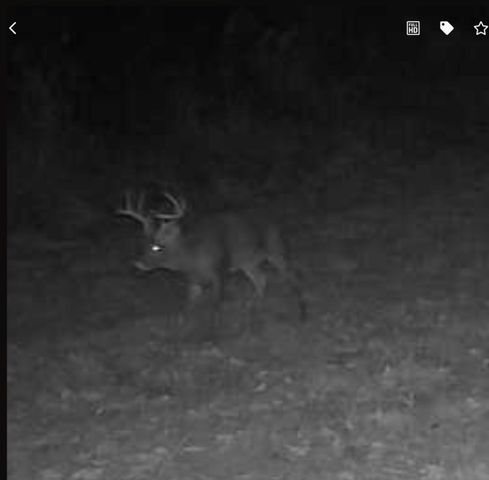 360 Sunset View Lane, Tyner, KY 40486