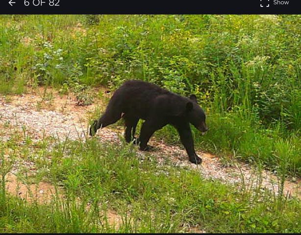 360 Sunset View Lane, Tyner, KY 40486