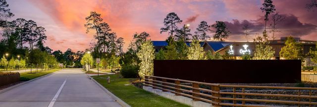 226 Skybranch Court, Conroe, TX 77304