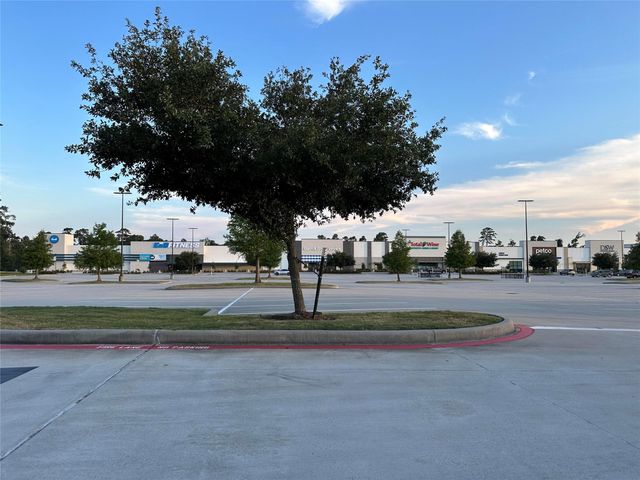 226 Skybranch Court, Conroe, TX 77304