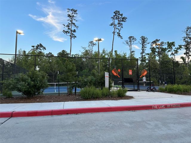 226 Skybranch Court, Conroe, TX 77304