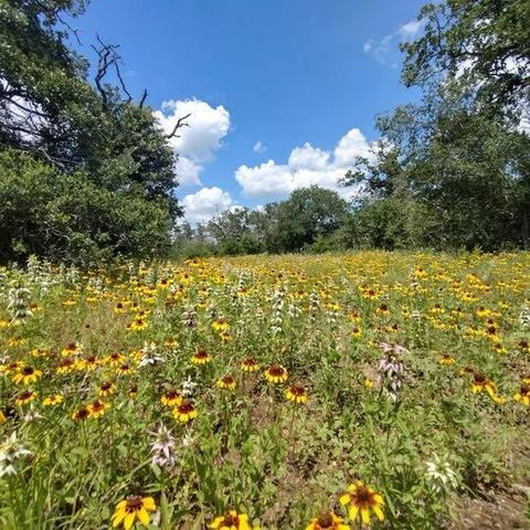 208 Rolling Oak DR, Elgin, TX 78621