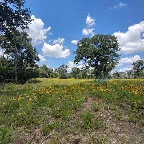 208 Rolling Oak DR, Elgin, TX 78621