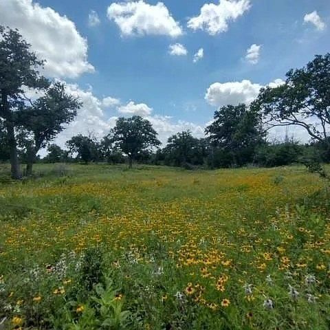 208 Rolling Oak DR, Elgin, TX 78621