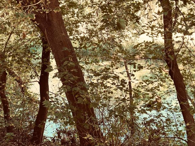 3220 Aquila Lane S, Saint Louis Park, MN 55426