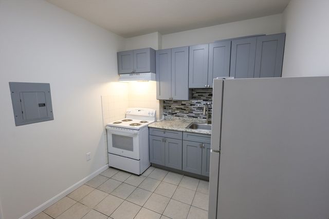 127 Intervale Street 3, Boston, MA 02121