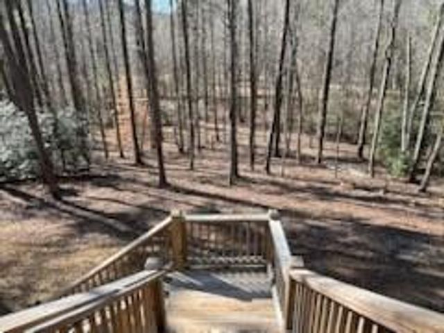3177 Rodgers Creek Road, Ellijay, GA 30540