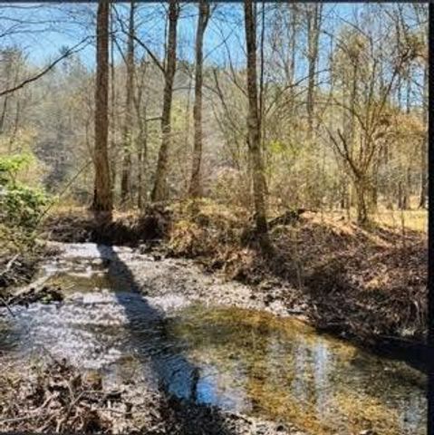 3177 Rodgers Creek Road, Ellijay, GA 30540