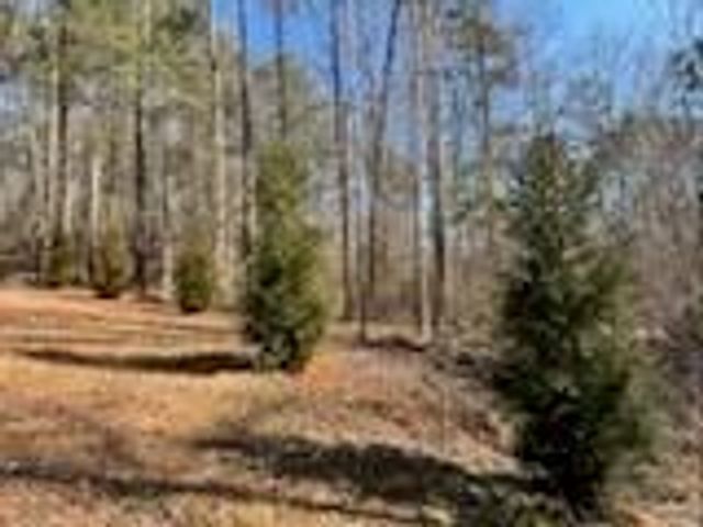 3177 Rodgers Creek Road, Ellijay, GA 30540