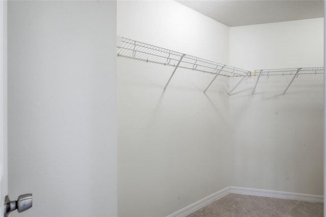 6003 CHELLAS COURT, Lutz, FL 33558