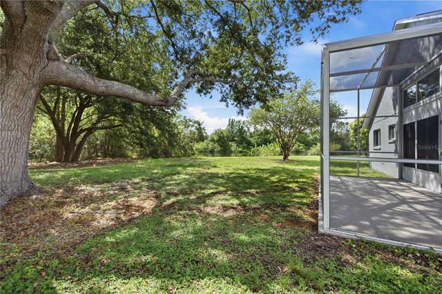 6003 CHELLAS COURT, Lutz, FL 33558