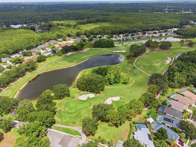 6003 CHELLAS COURT, Lutz, FL 33558