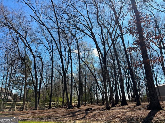 732 E Jefferson Street, Hoschton, GA 30548