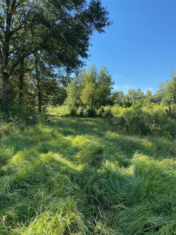 6225 County Road 2252, Cleveland, TX 77327