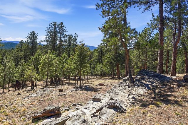 226 Bear Drive, Evergreen, CO 80439