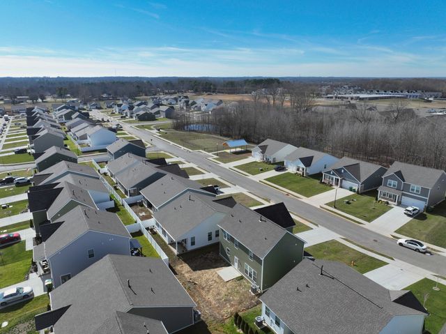 5203 Cothron Dr, White House, TN 37188