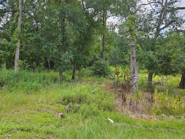 371 County Road 3890, Cleveland, TX 77328