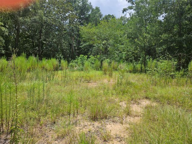371 County Road 3890, Cleveland, TX 77328