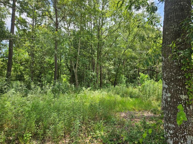 371 County Road 3890, Cleveland, TX 77328