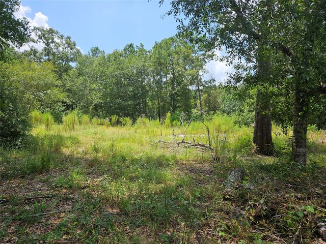 371 County Road 3890, Cleveland, TX 77328