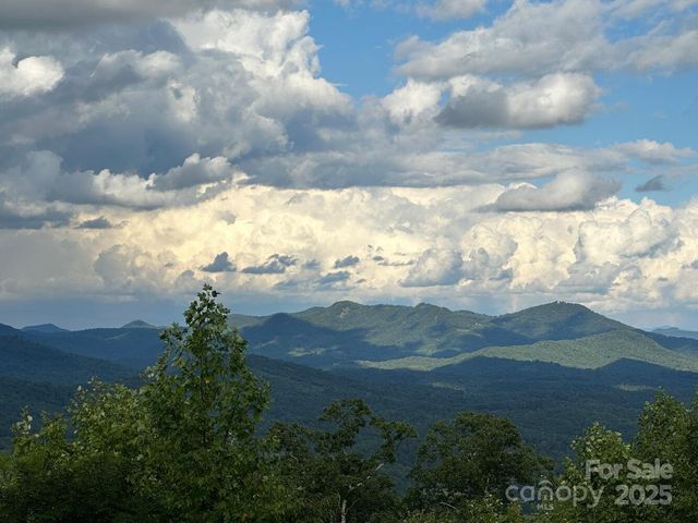 121 Pairofdice Way, Lake Lure, NC 28746