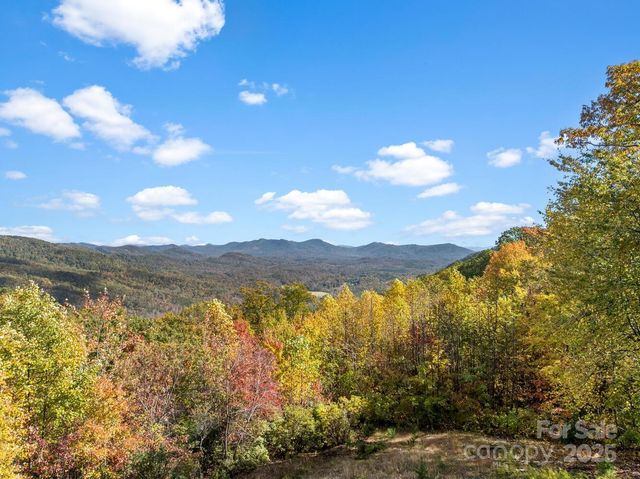 121 Pairofdice Way, Lake Lure, NC 28746