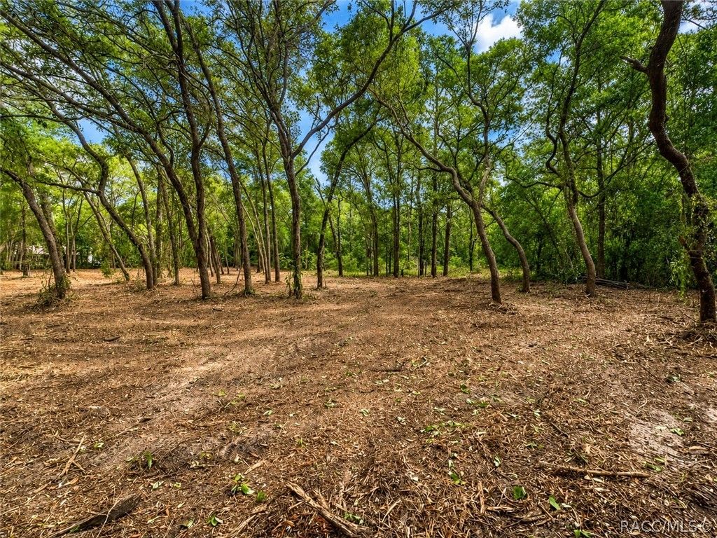 6119 W Homosassa Trail, Homosassa, FL 34448