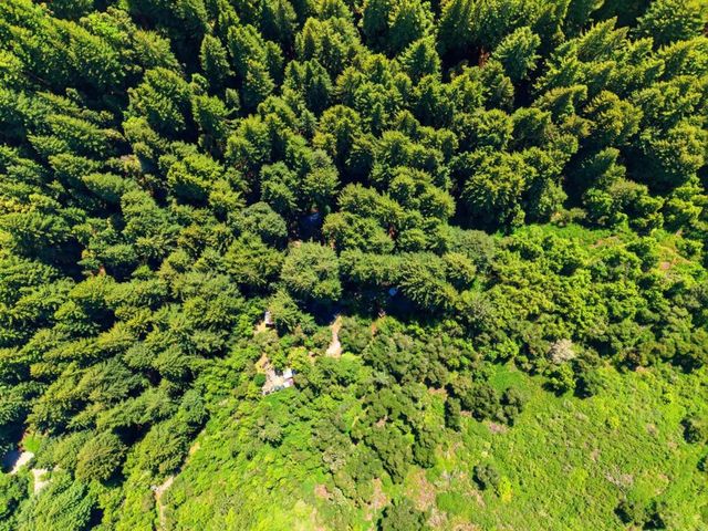 16730 Laurel Road, Los Gatos, CA 95033