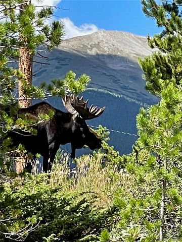 66 Sitzmark Circle, Breckenridge, CO 80424