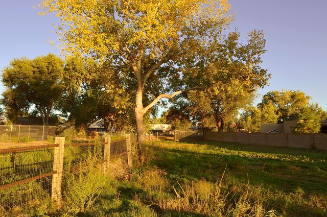 2914 Mountain Road NW, Albuquerque, NM 87104