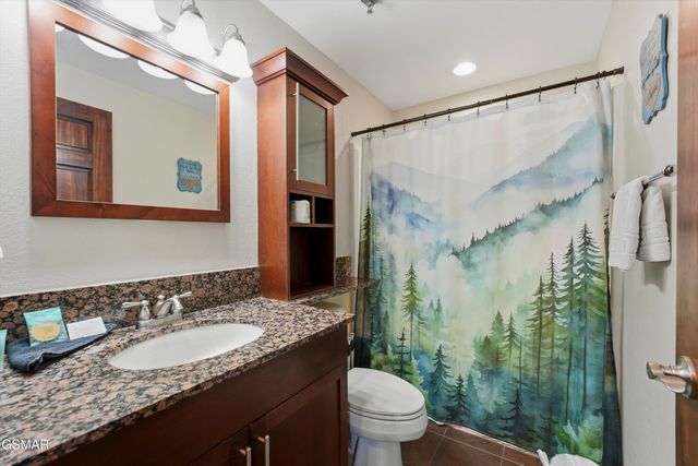 410 Big Bear Way, Pigeon Forge, TN 37863