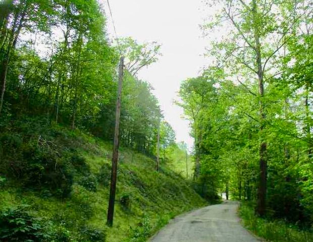 129 Douglas Hollow, Olive Hill, KY 41164