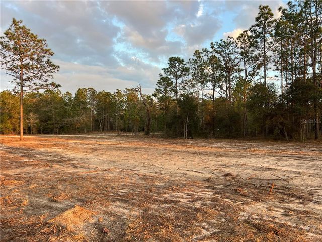 6 SW LOMBARDY LANE, Dunnellon, FL 34431