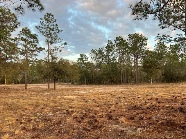 6 SW LOMBARDY LANE, Dunnellon, FL 34431