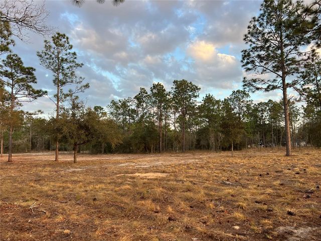 6 SW LOMBARDY LANE, Dunnellon, FL 34431