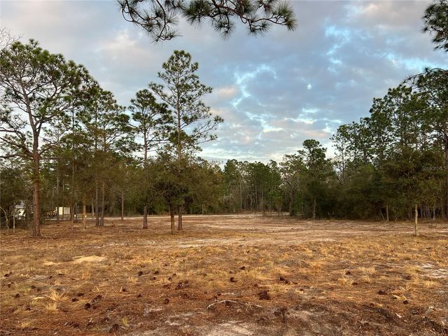 6 SW LOMBARDY LANE, Dunnellon, FL 34431