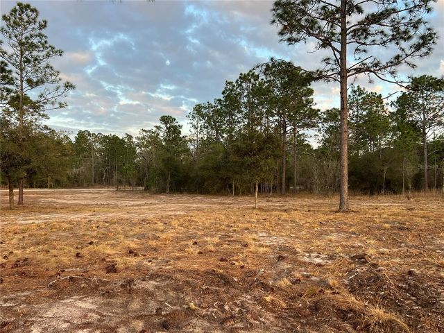 6 SW LOMBARDY LANE, Dunnellon, FL 34431