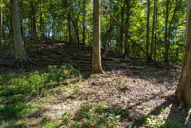 0 Pumpkinvine Hill Road, Martinsville, IN 46151