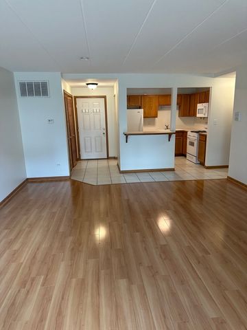 9529 Minnick Avenue 1S, Oak Lawn, IL 60453