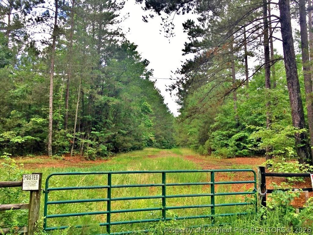 Valley Road, Sanford, NC 27330 — photo 3