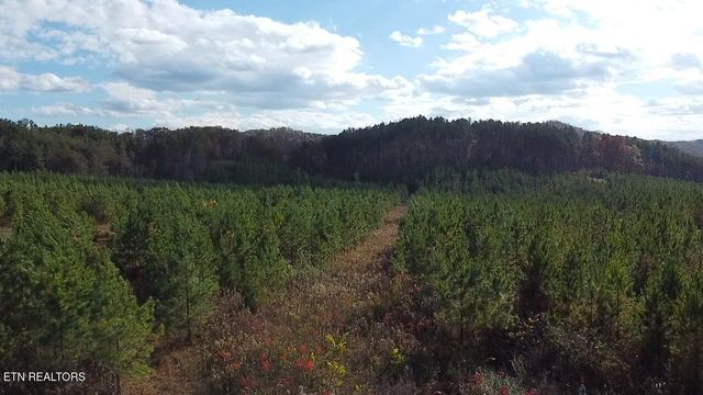 Lot 51 Three Point Rd, Vonore, TN 37885