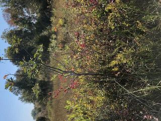 6 Pickeral Avenue, Porter Twp, MI 49130