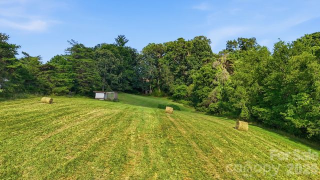 1686 Dutch Cove Road, Canton, NC 28716
