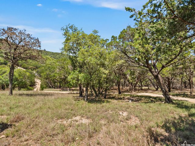 223 Canyon View Dr, Pipe Creek, TX 78063