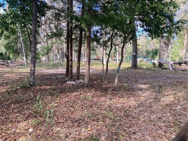 2456 N JUNGLE CAMP ROAD 1, Inverness, FL 34453